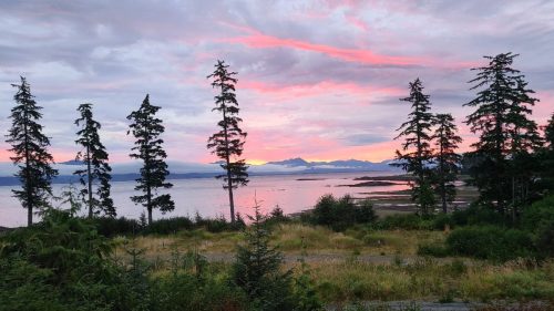 564007337_1250958093695618_7450234348310994188_n